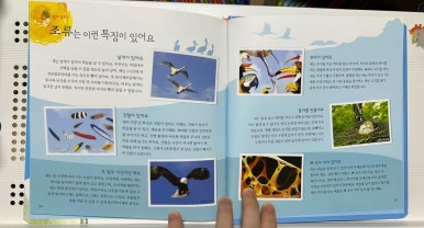 물친구 이미지