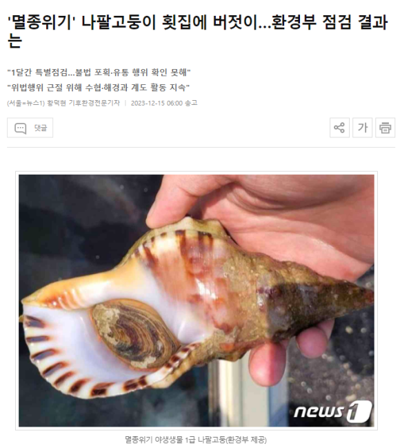 나팔횟집 이미지