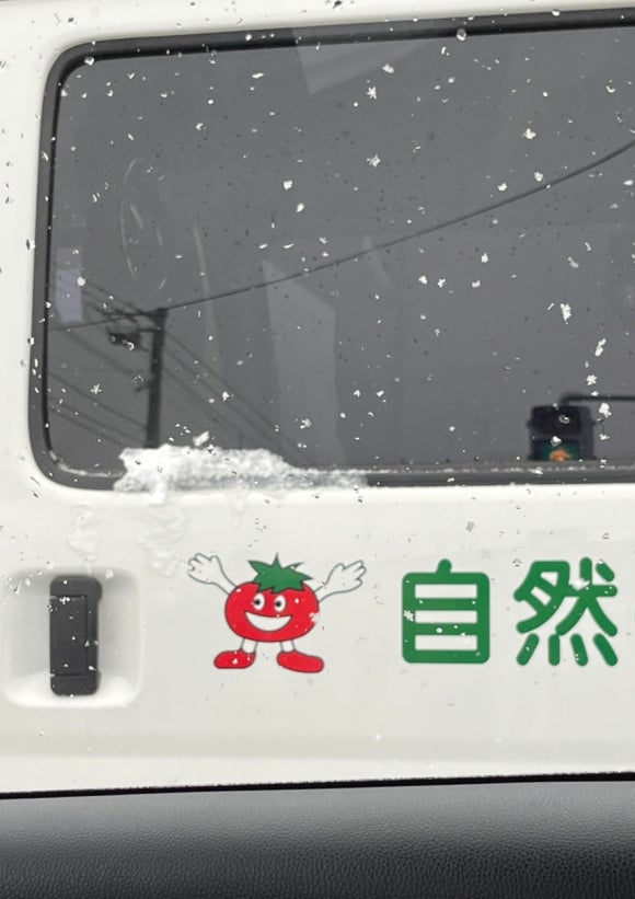 레몬렌트 이미지
