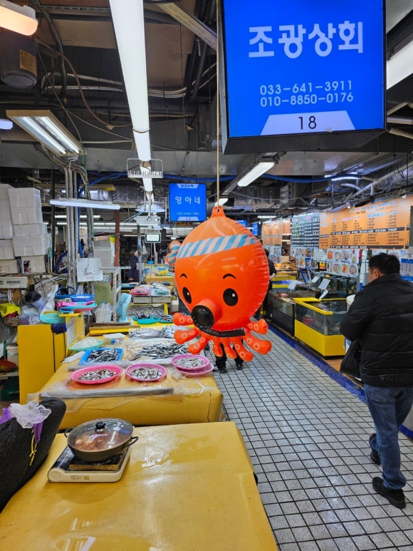 조광상회 이미지