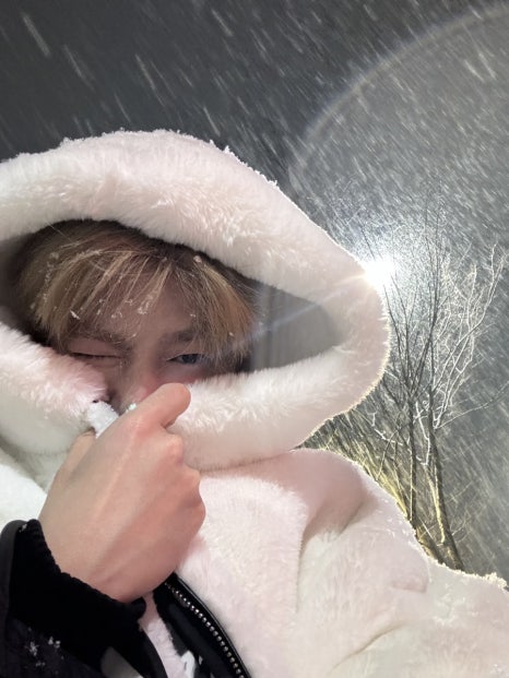 아농 이미지