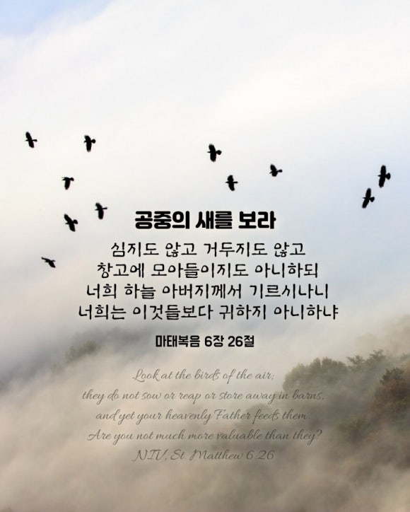 복음창고 이미지