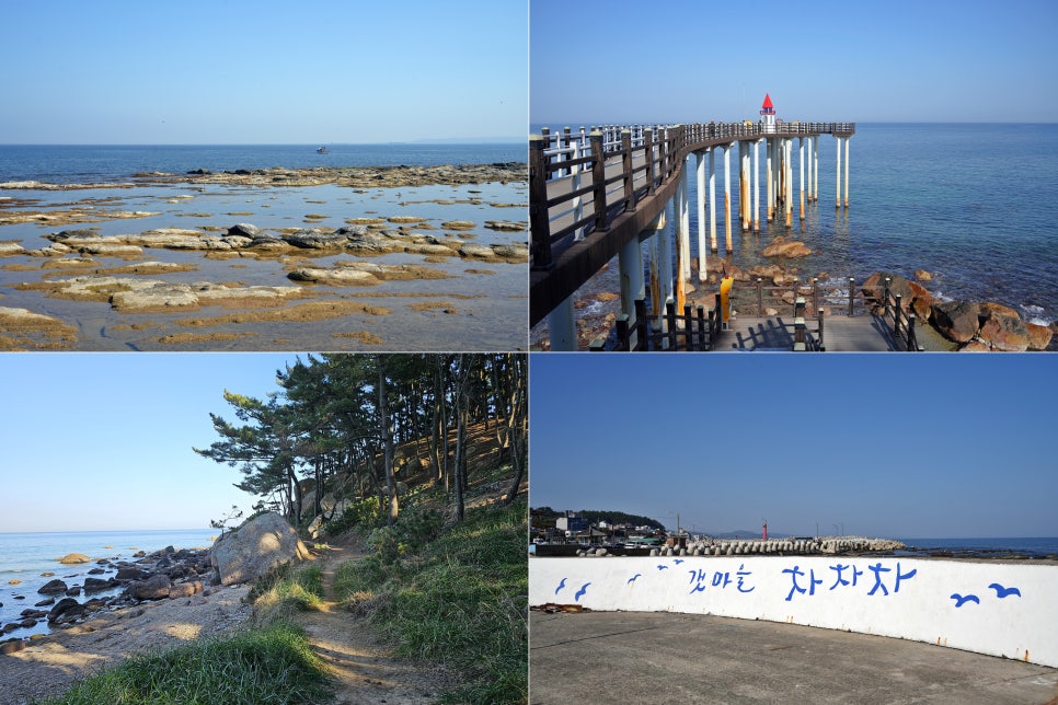 화진조경 이미지