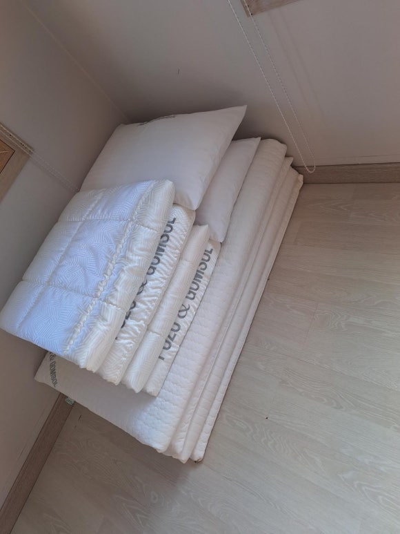 푸조와곰솔B 이미지