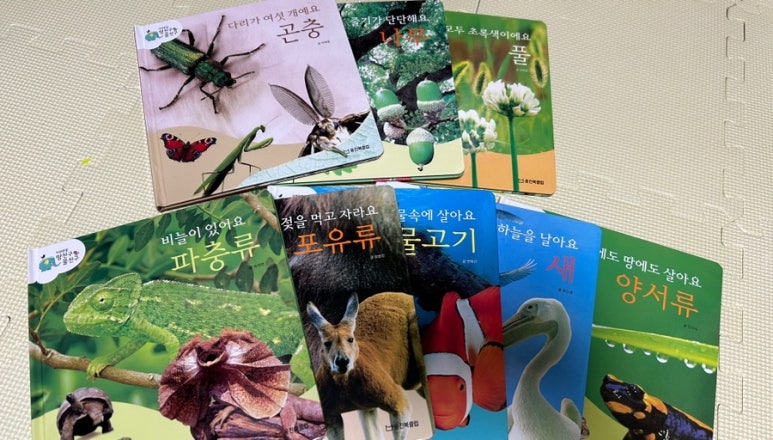 물친구 이미지
