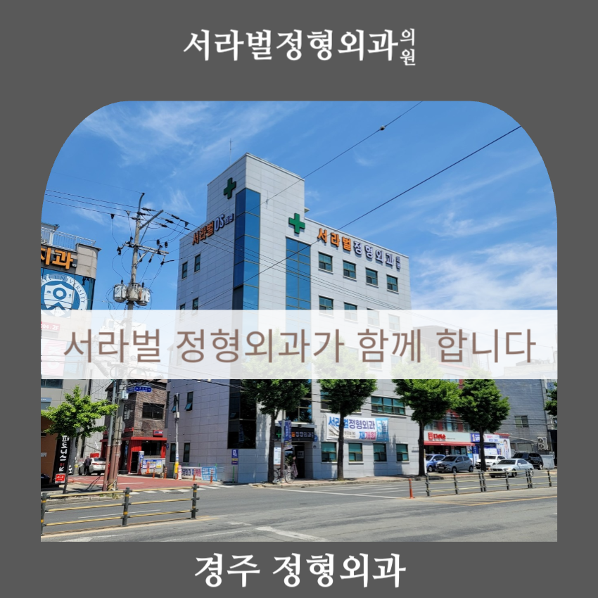 서라벌정형외과 이미지