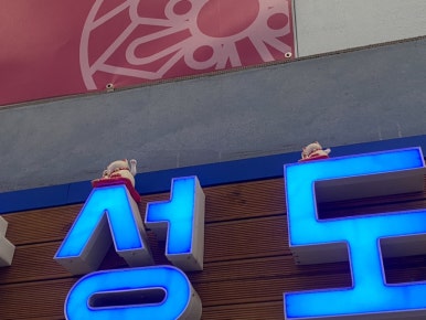 볼사이팅 이미지