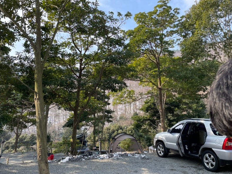 진도카멜리아힐즈오토캠핑장 이미지