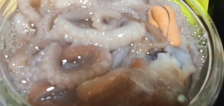 회성수산 이미지