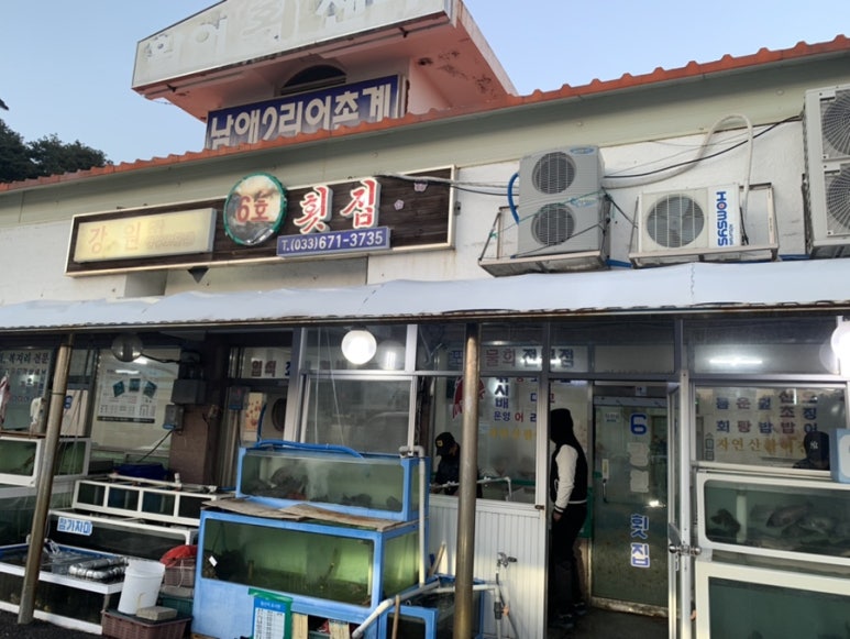 남애항물회 이미지