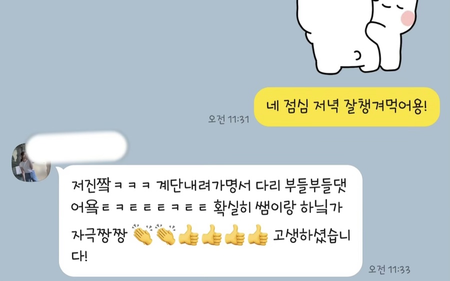 레고핏 이미지