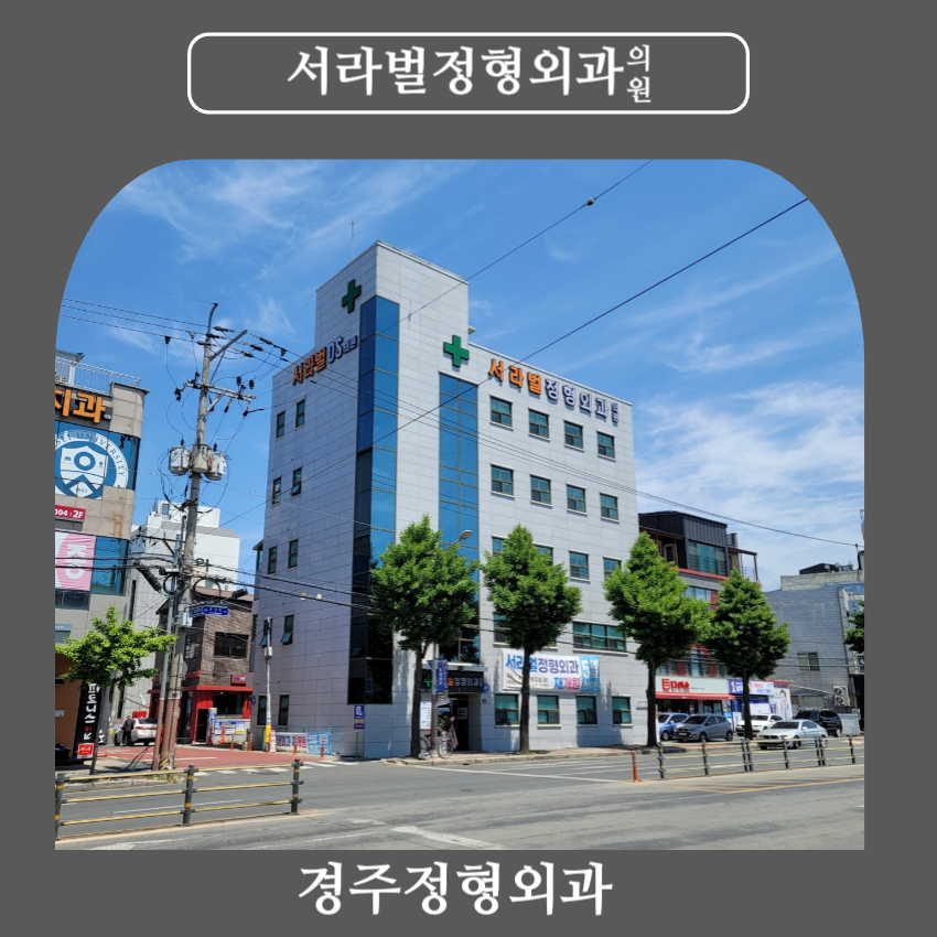 서라벌정형외과 이미지