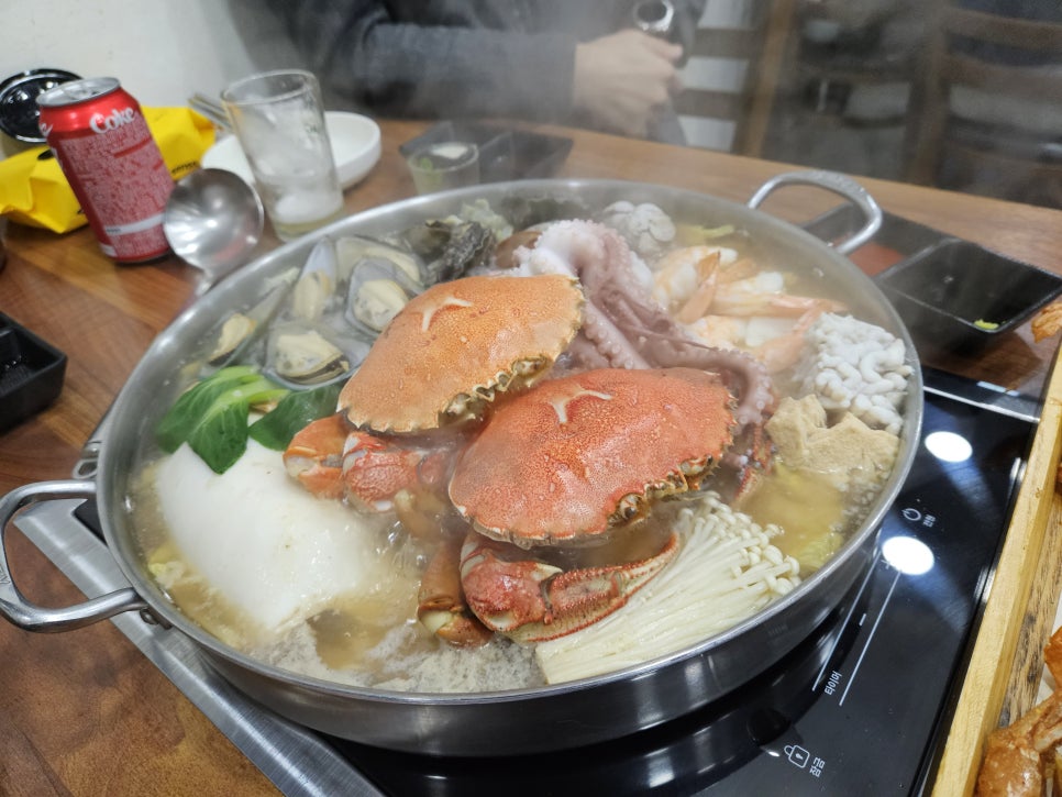 모디포차 이미지
