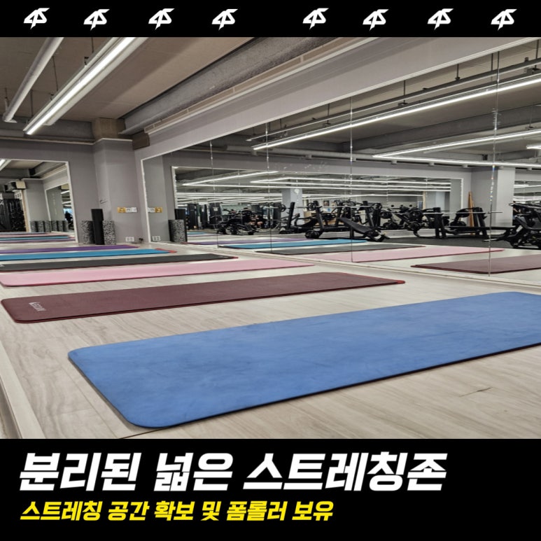 에스스트레칭 이미지