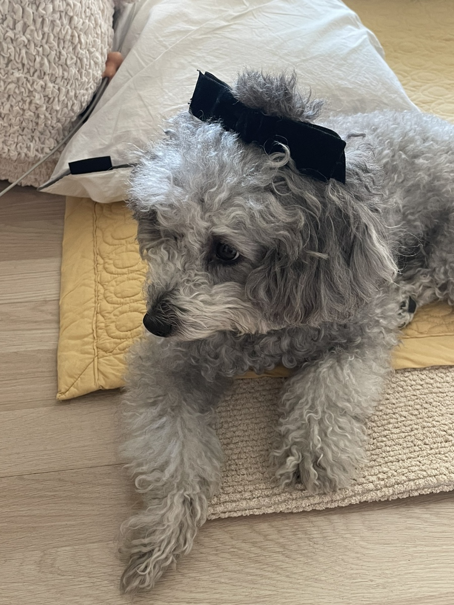 어거스트베이커리 이미지