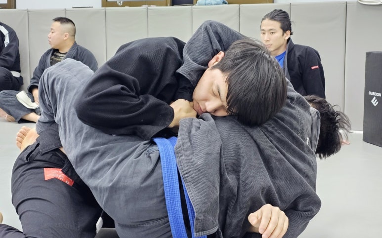 한국무도학원 이미지