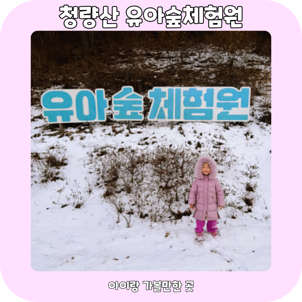 청량산 유아숲체험원 이미지