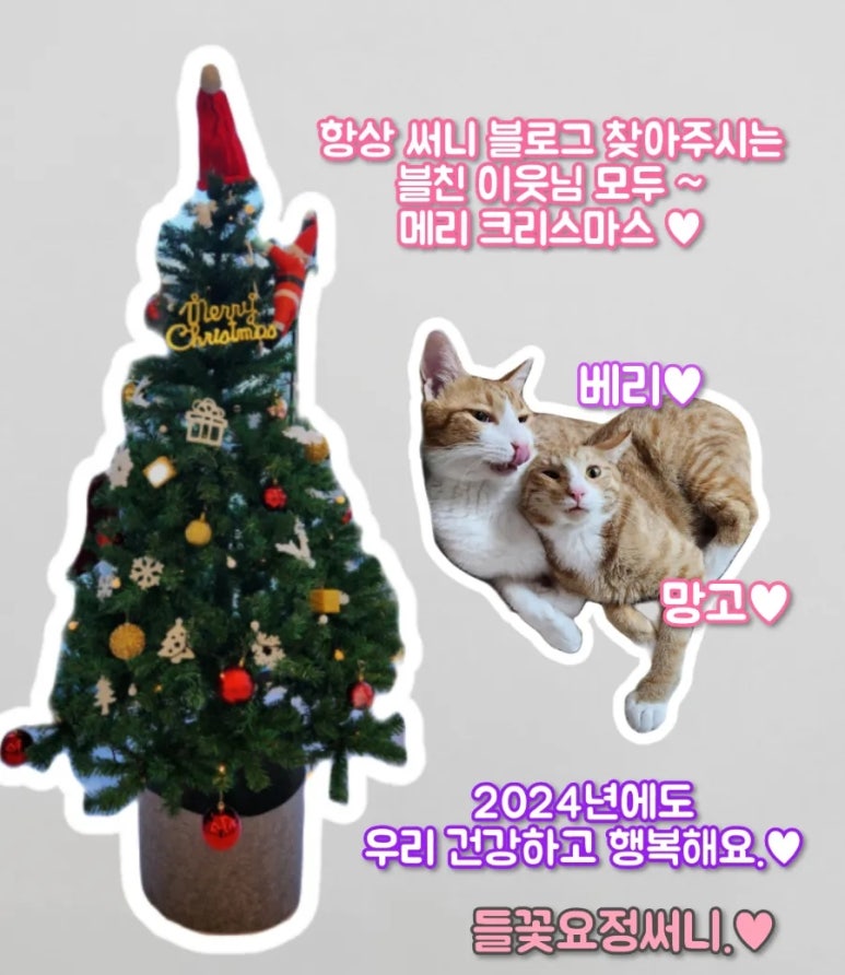 생텀커피삼천포점 이미지