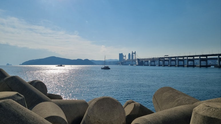 폴바셋부산해운대아이파크점 이미지