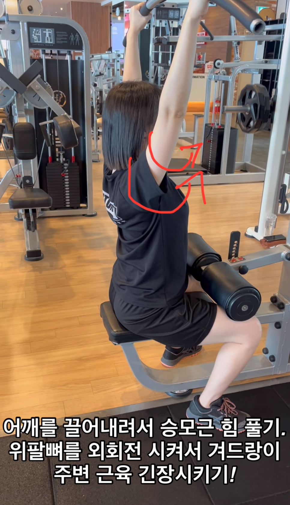 에프에스짐 이미지