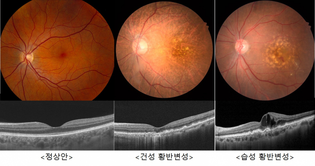 삼계성모안과 이미지