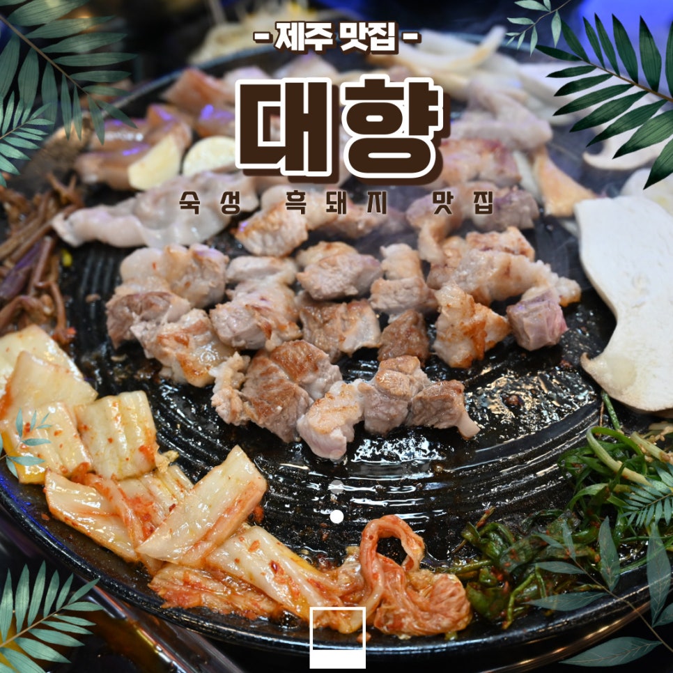대향흑돼지 이미지