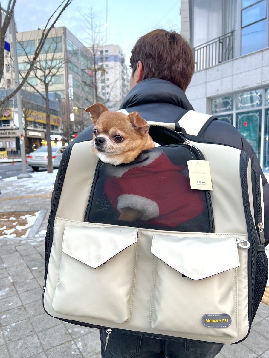 모드니세탁 이미지