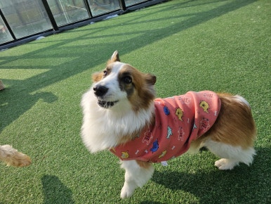 라드수원 이미지