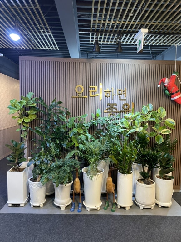 종원오리농원 이미지