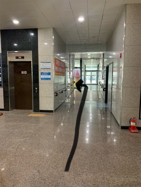크린앤크린24 이미지