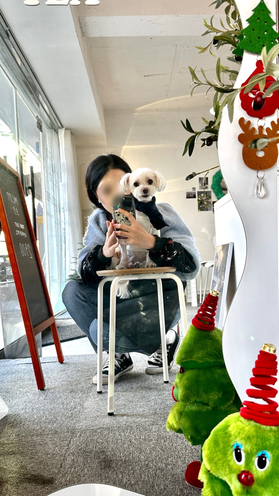 므콧 이미지