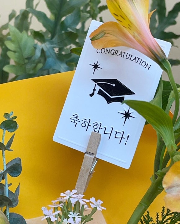 담장아래과꽃 이미지