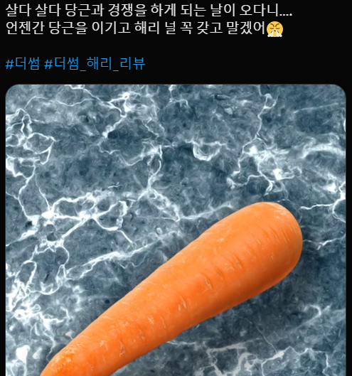 더썸 이미지