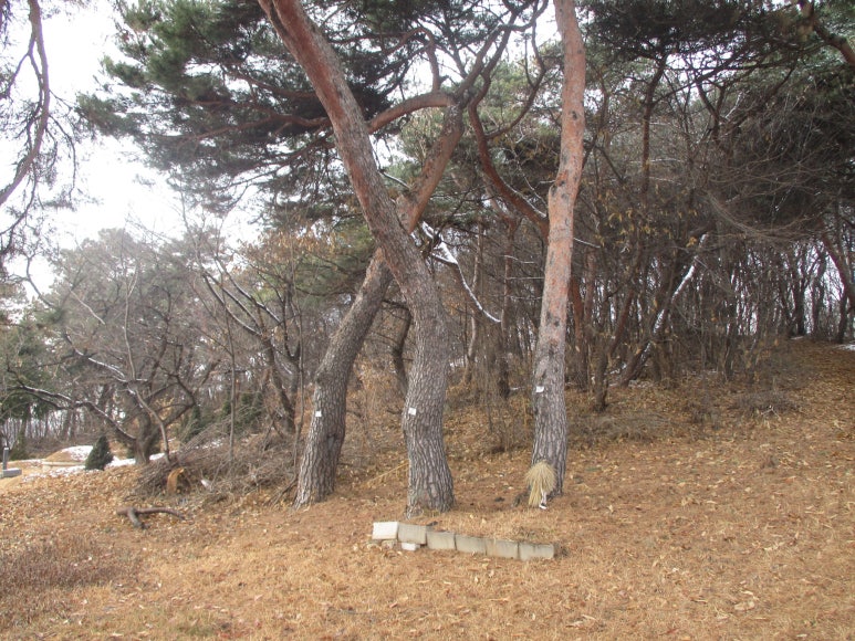 연우자동차공업사 이미지