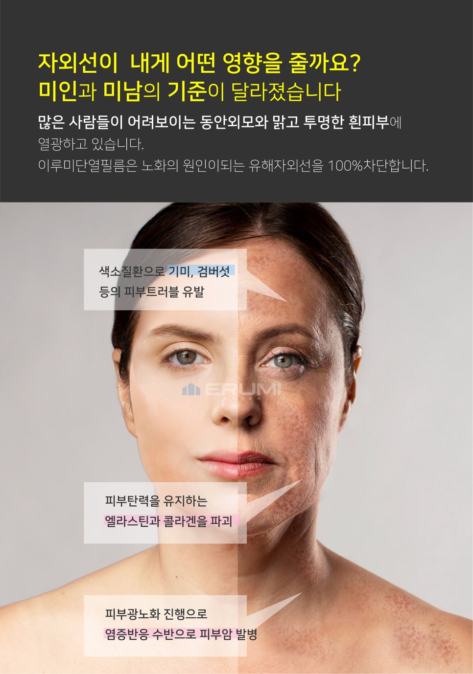 탁 이미지