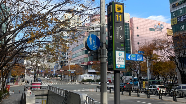 에스더블유조경 이미지