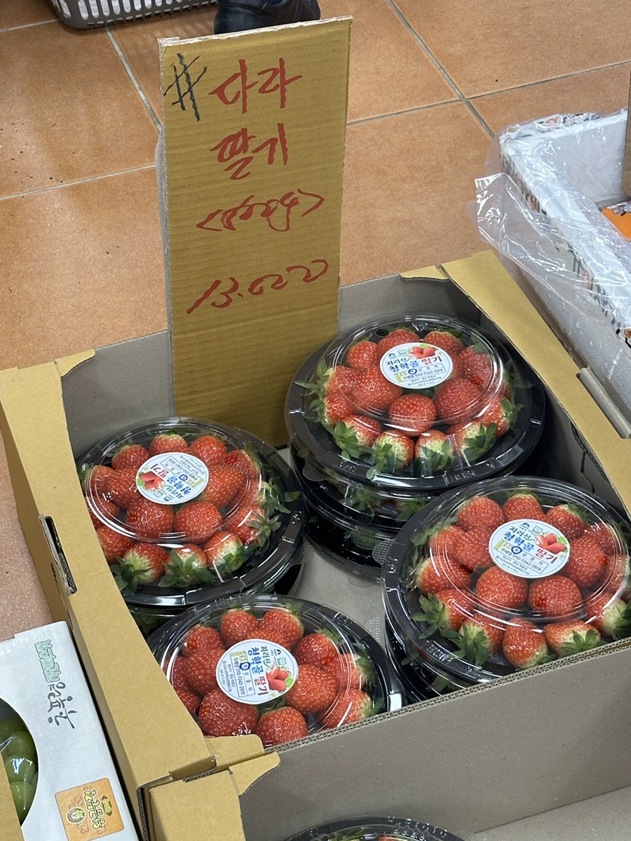 싱싱야채달달과일 이미지