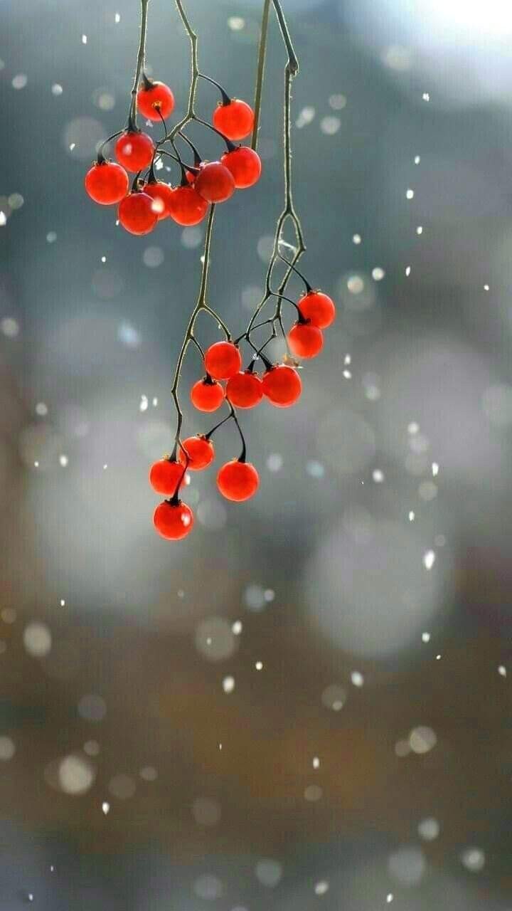 궁기 이미지