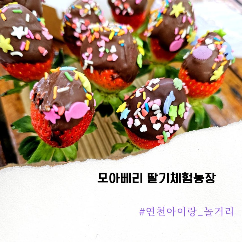 모아베리교육농장 이미지
