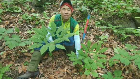 산삼하우스 이미지