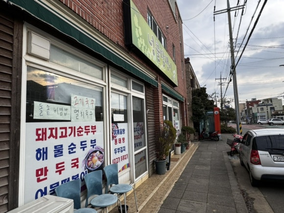 넝쿨담쟁이 사진 5