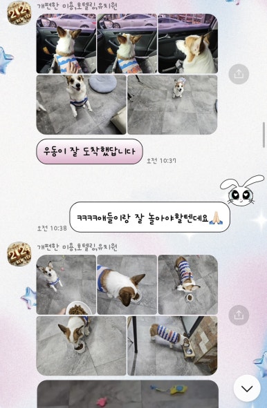 개편한까페 이미지