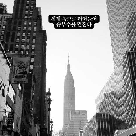 와이에이치글로벌 이미지