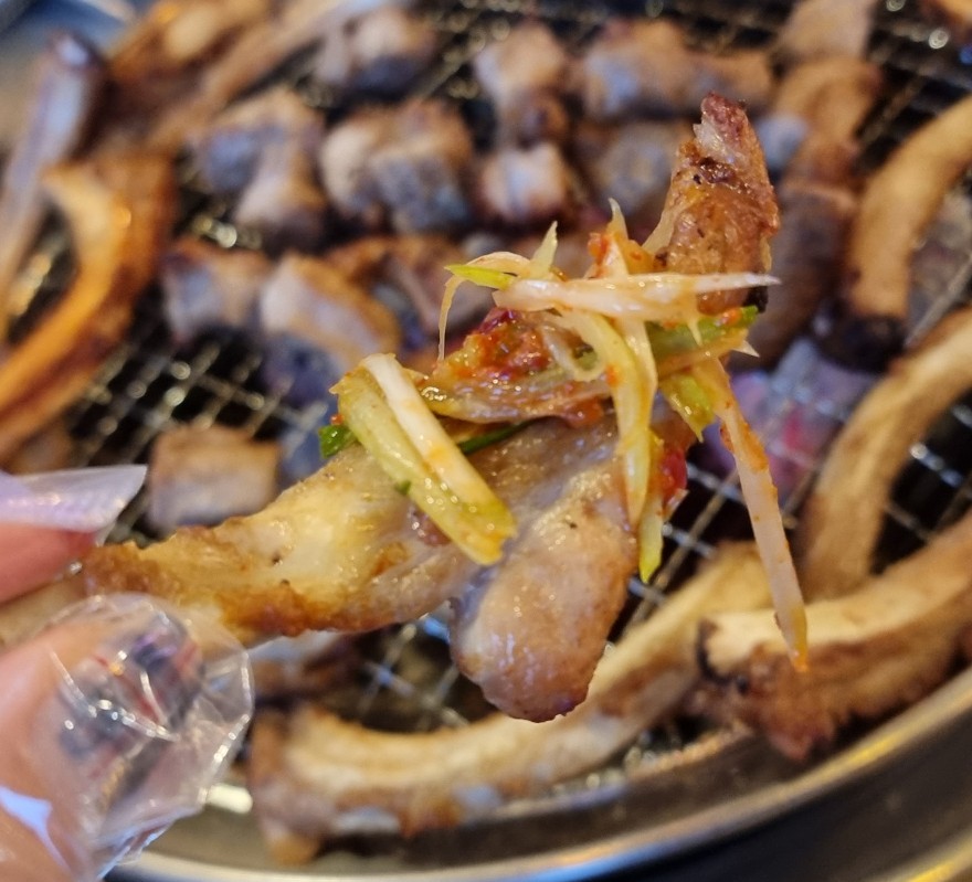 등갈비대통령 이미지