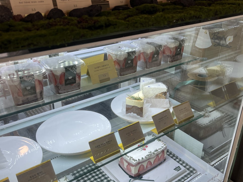 바스켓모먼트 이미지