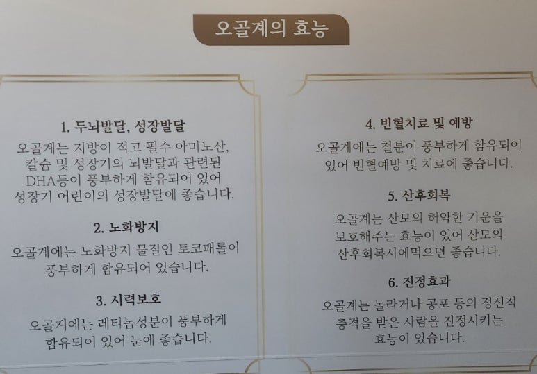 오골계마루 이미지