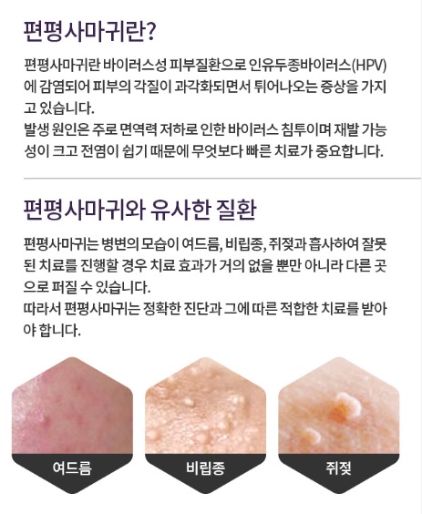뉴스타의원 이미지