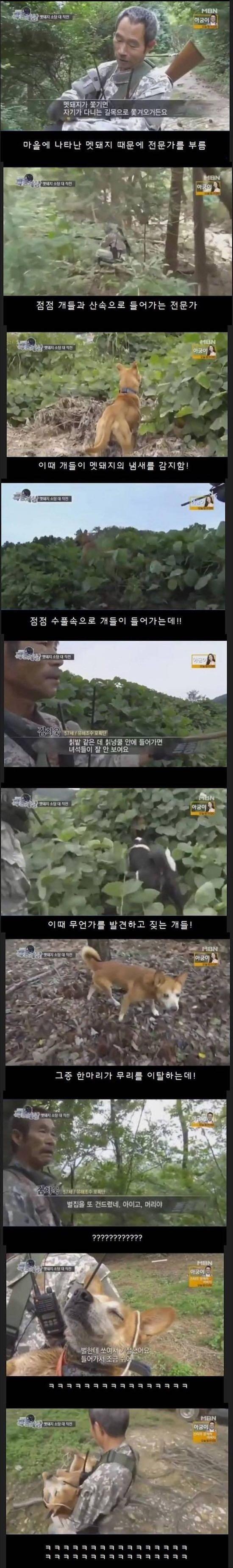 FUN구제 이미지