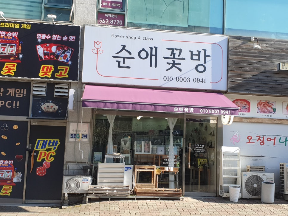 순애꽃방 이미지