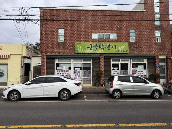 넝쿨담쟁이 사진 4